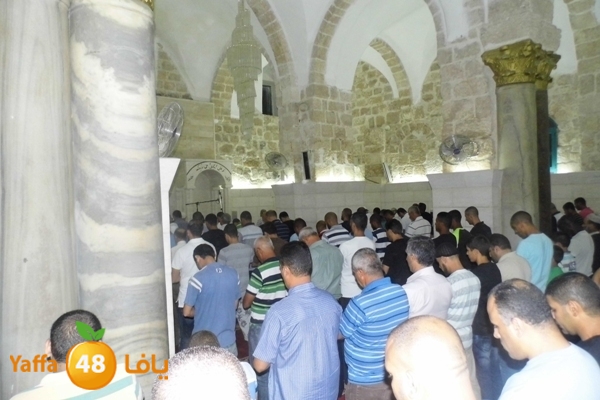 kaber trawe7 718 (7).JPG